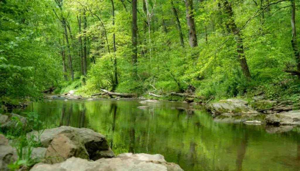 A picture of fishing creek nature preserve from the Lancaster Conservancy