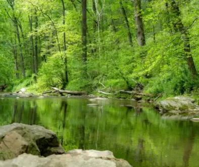 A picture of fishing creek nature preserve from the Lancaster Conservancy