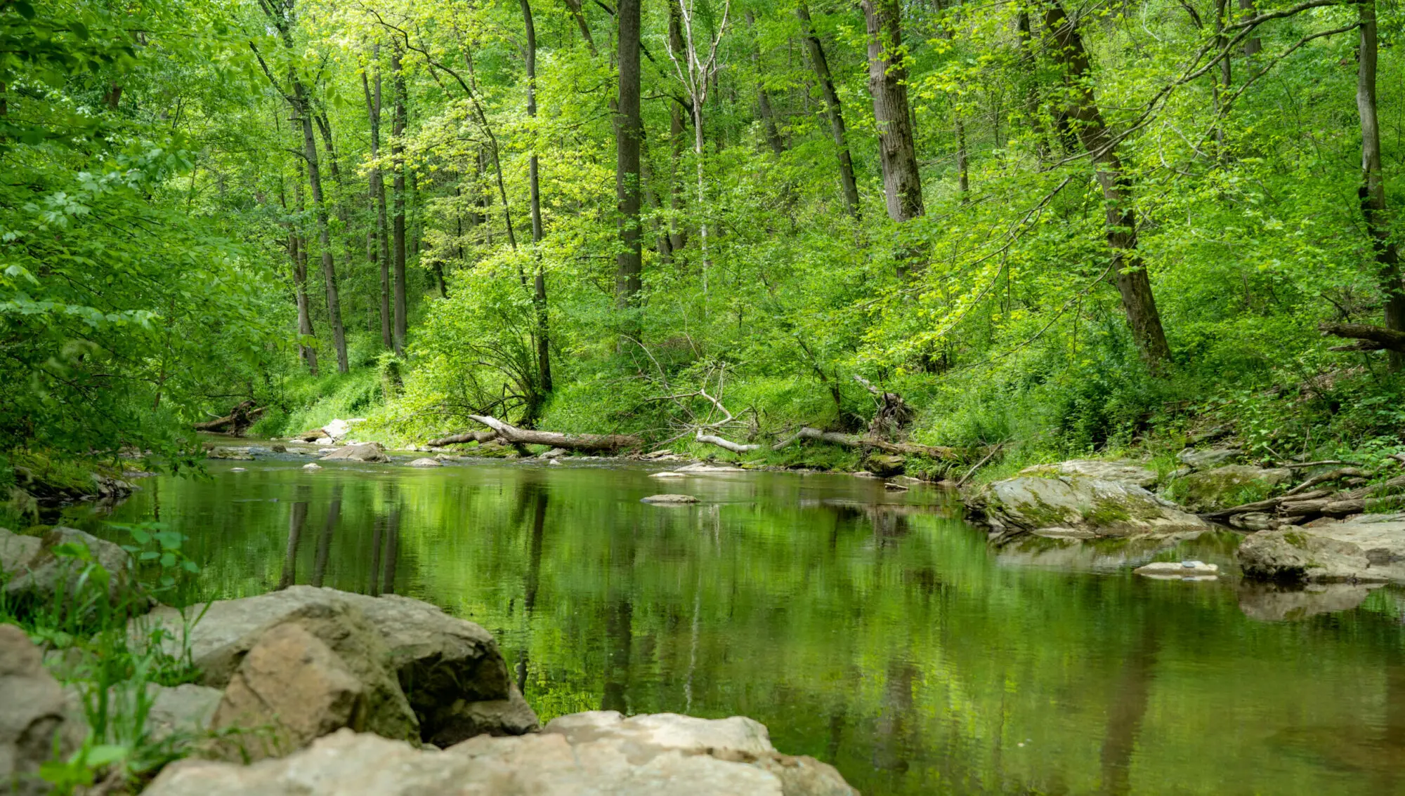A picture of fishing creek nature preserve from the Lancaster Conservancy