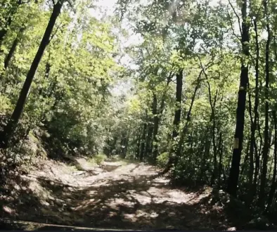 Berry-Mountain-Climb-Screenshot