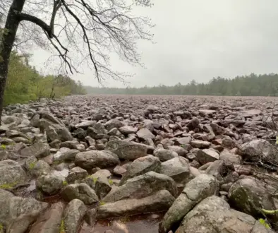 Wide rainy-day view of the boulder field at Hickory Run State Park, taken in early May from the tree-lined edge, showing the kind of raw, quiet landscape that inspires my Adventure Adjacent Live Streams.