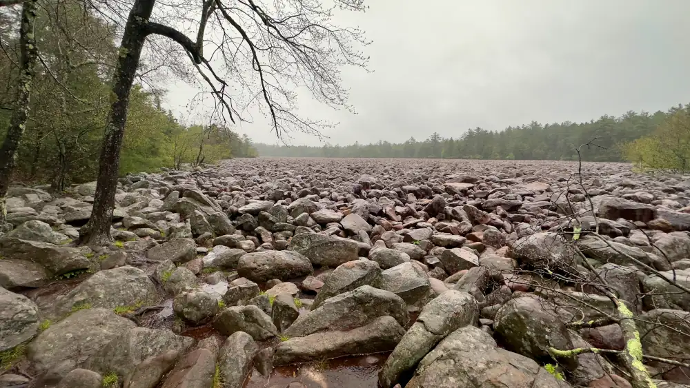 Wide rainy-day view of the boulder field at Hickory Run State Park, taken in early May from the tree-lined edge, showing the kind of raw, quiet landscape that inspires my Adventure Adjacent Live Streams.