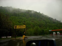 Image of a tree covered hill dappled in mist rising above the rain-shined parking lot of a truck stop with a CAT certified scale in the foreground.
