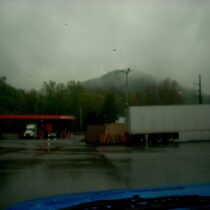 More trees, diesel, and shiny black parking lot. More trees, diesel, and shiny black parking lot.