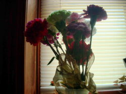 A bouquet of carnations in various colors with a gold ribbon for mother's day sitting on a desk in front of a window with closed blinds.