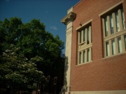 A photo of the Reading Public Library looking up from behind. It's an older, red brick facade, with a gray column at the corner. There are many art deco style touches. A green tree dominates the left side of the frame. The build and tree mostly obscure a deep blue, nearly cloudless sky behind.